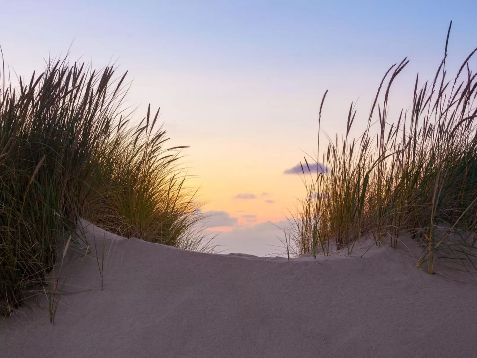 Dat Lütje 516-Inside