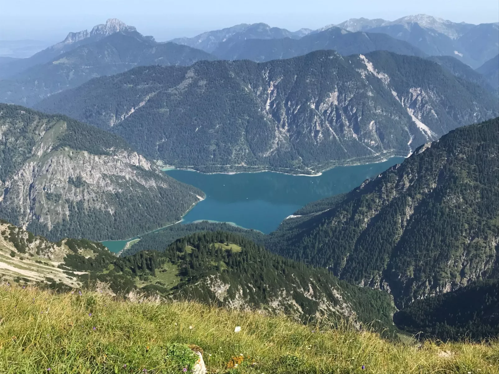 Pony-Ziegen-Hasen-Ranch in Bichlbach-Image-tags.info