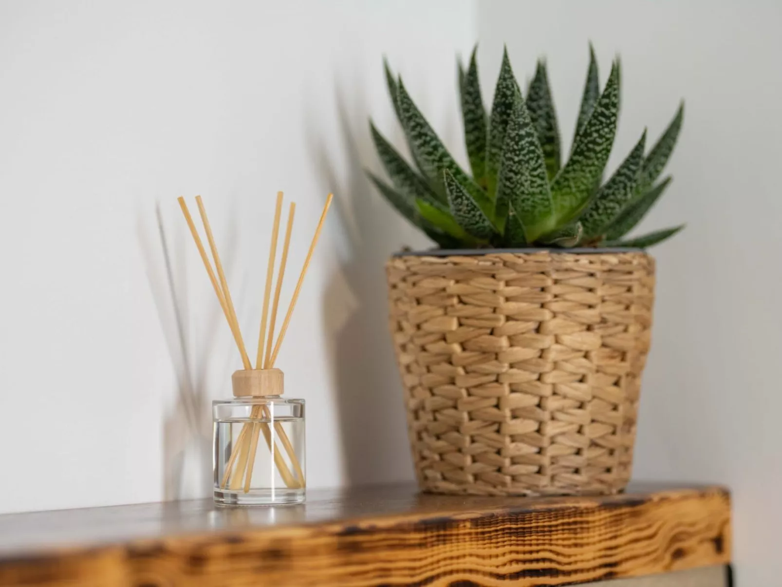 Villa Dream mit Pool nahe Labin-Image-tags.info