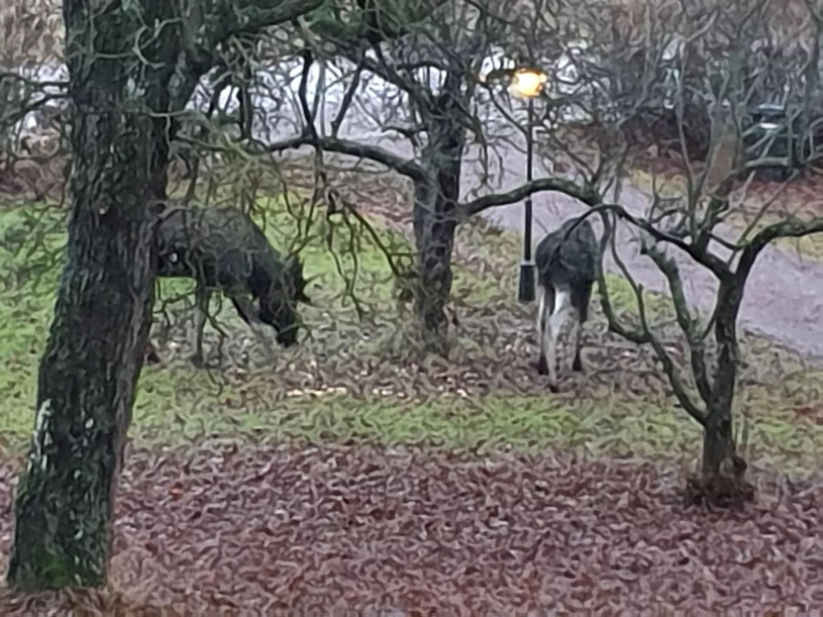 Schönes Ferienhaus am See Runn-Draußen