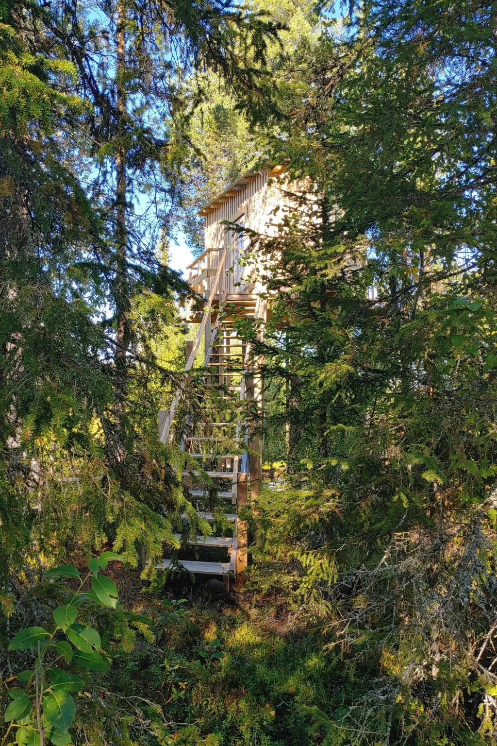 Aurora Lodge-Draußen