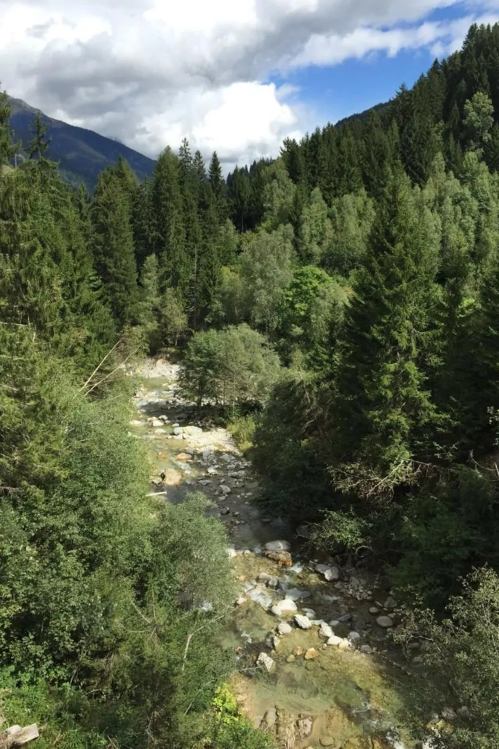 Gemütliche Ferienwohnung im Disentiserhof-Outside