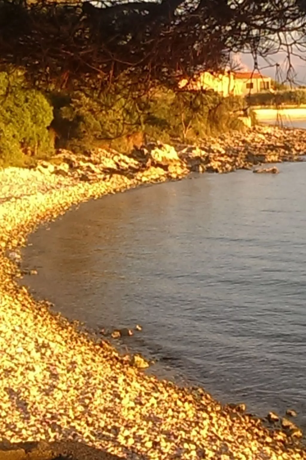 "Dantin" mit Blick auf das Wasser-Draußen