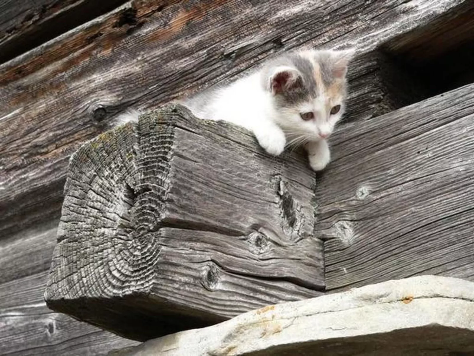 Chalet Angelika-Dehors