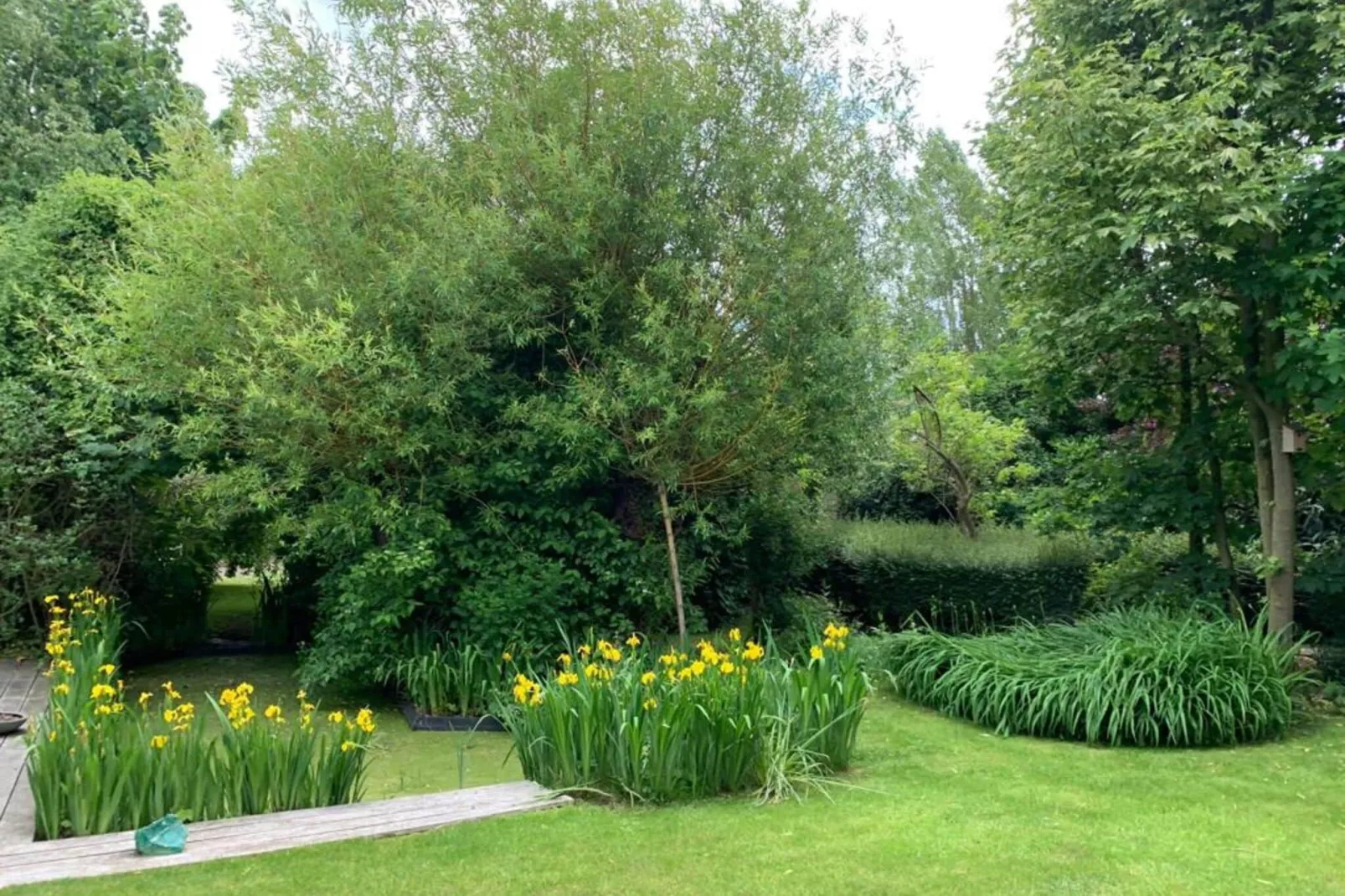 Het Wilgenhuis-Gardens summer