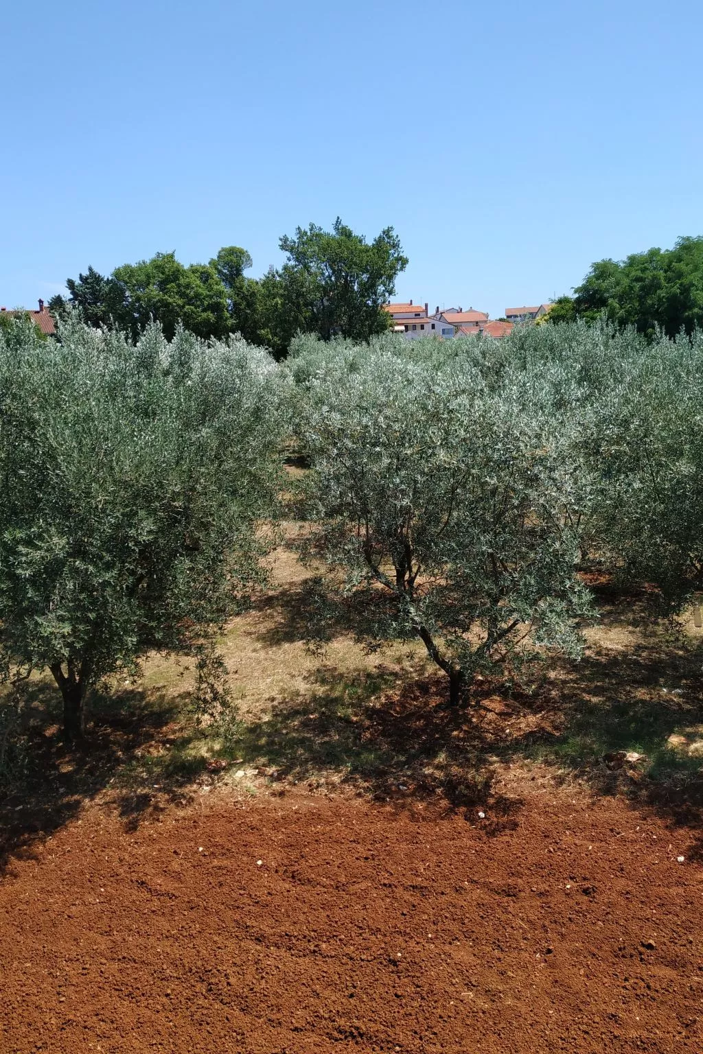 Ferienvilla mit privatem Pool-Outside