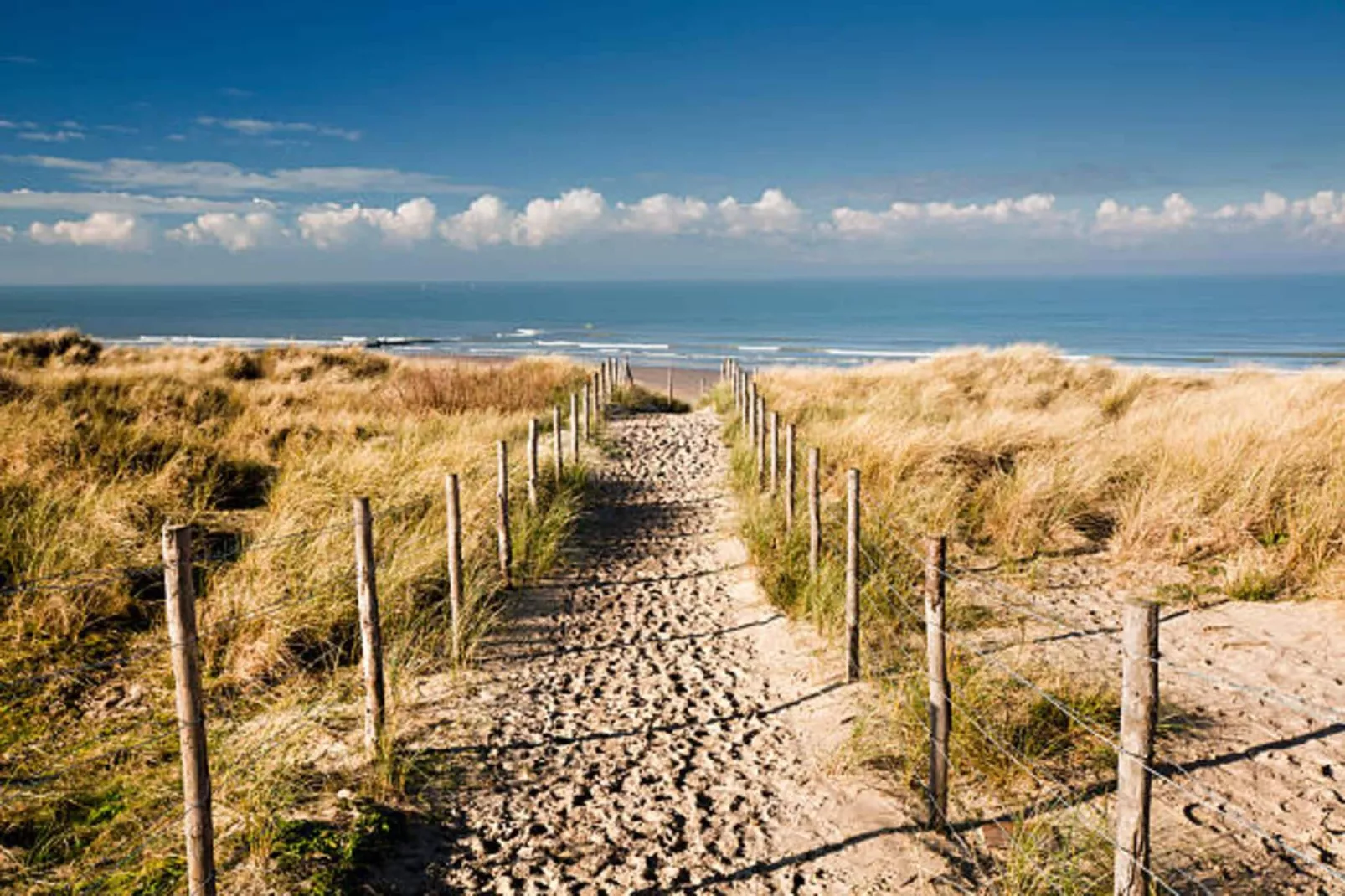 Het Wilgenhuis-Areas summer 5km