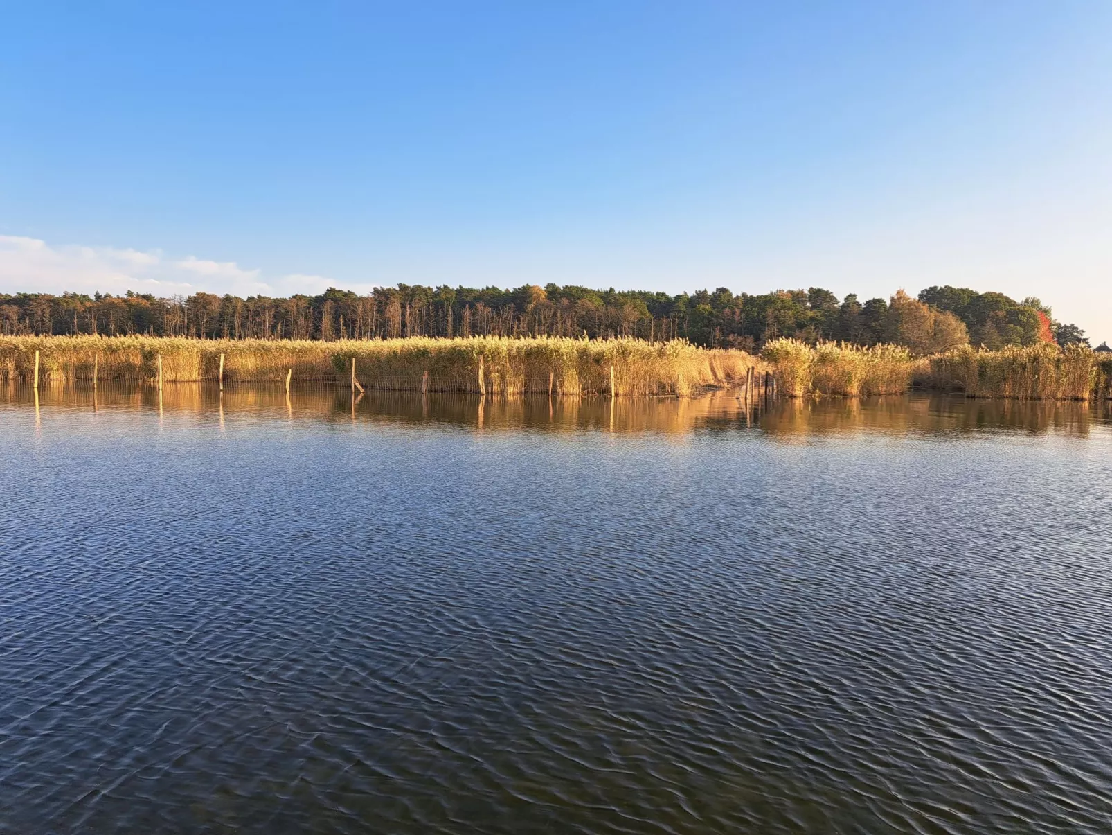 Mit Terrasse mitten im Grünen-Dehors