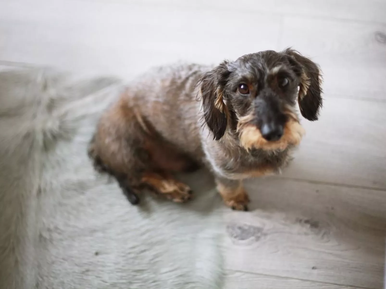 Komfortable Ferienwohnung mit großem Balkon-Drinnen