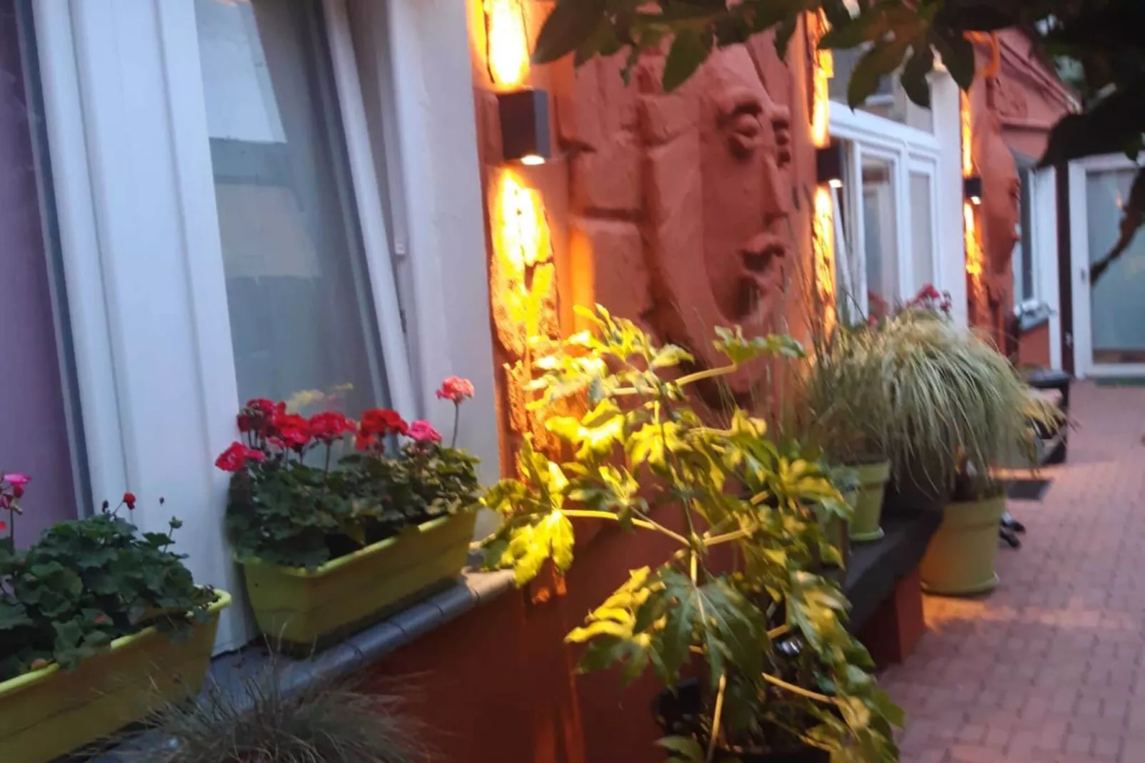 Paradisio-Exterior summer