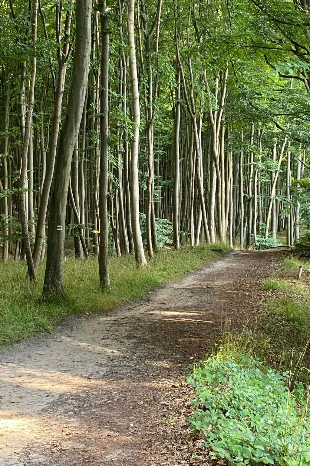 Leuchtturm-Image-tags.info