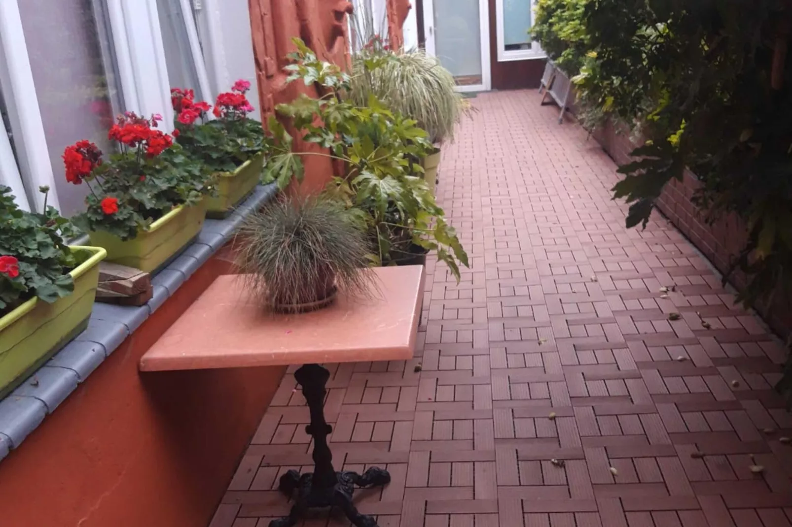Paradisio-Exterior summer