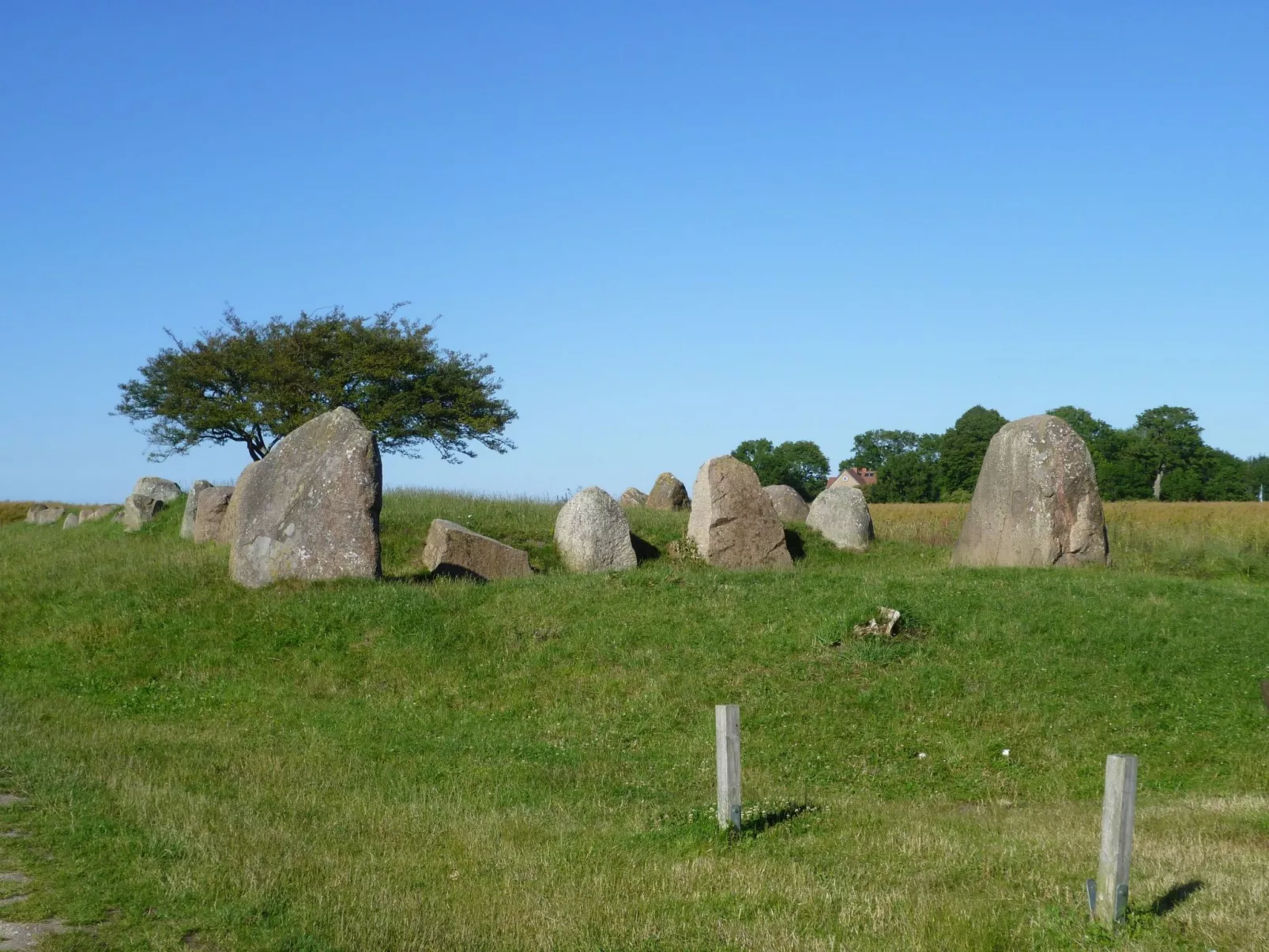 Toddy - Auszeit für Körper und Seele-Dehors