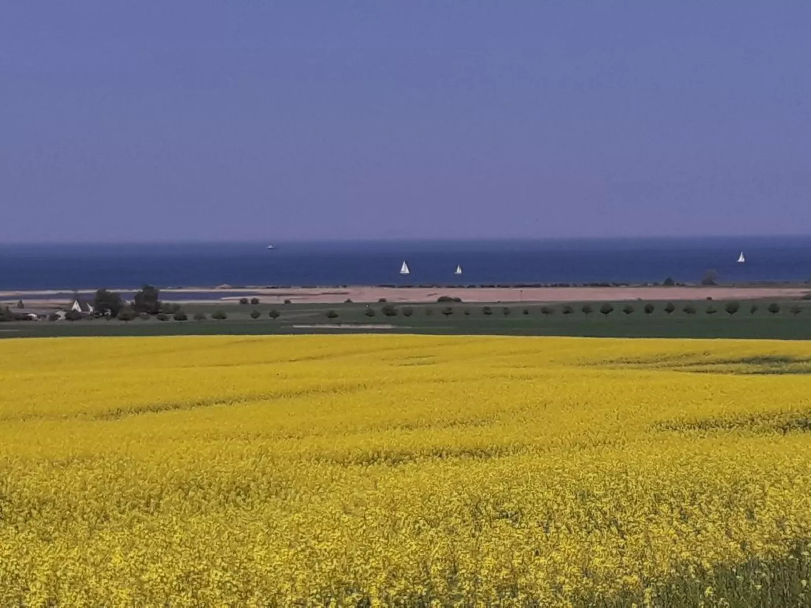 Bungalow "Lieschen"-Outside