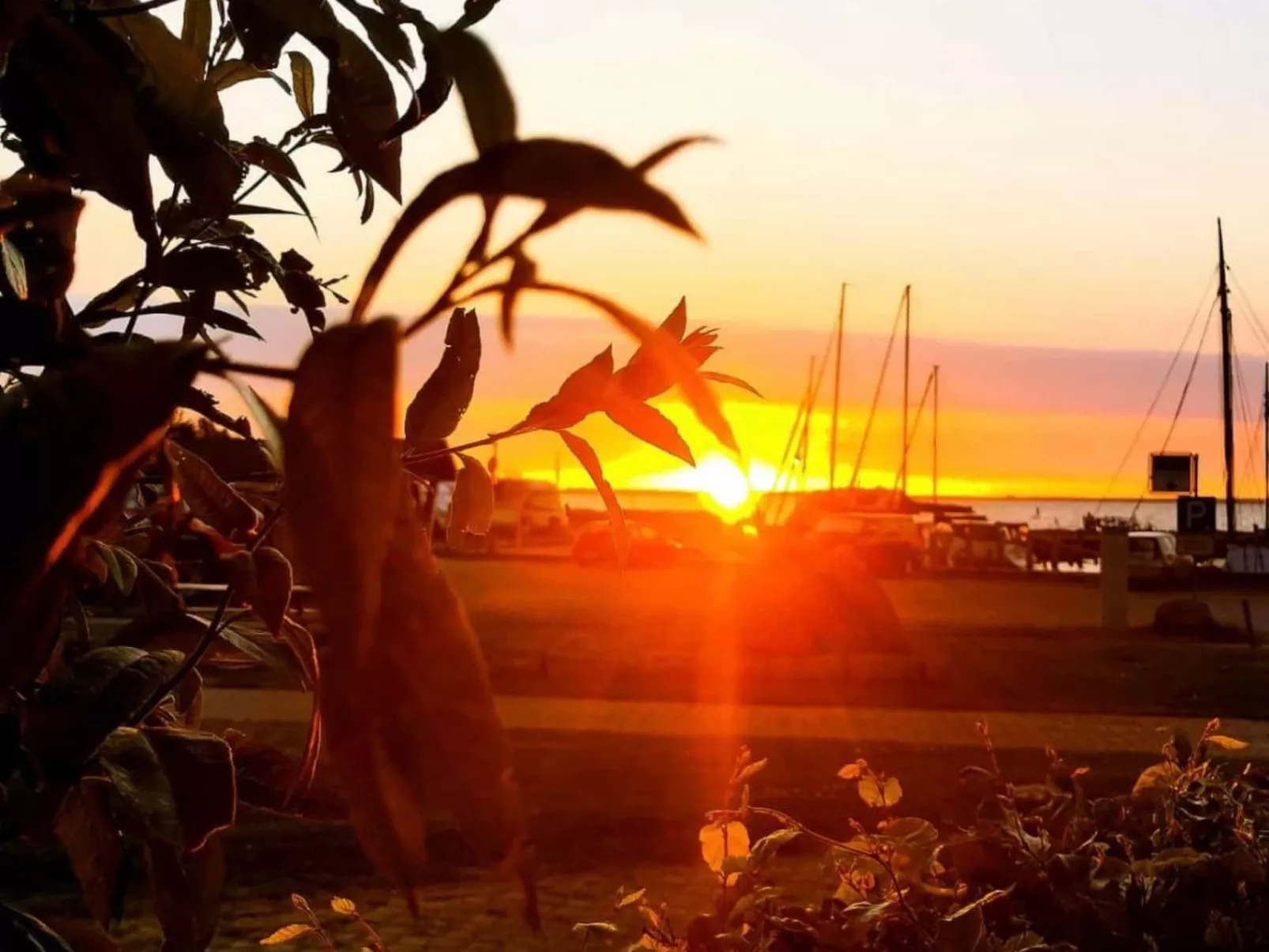 "Saaler Bodden"-Draußen