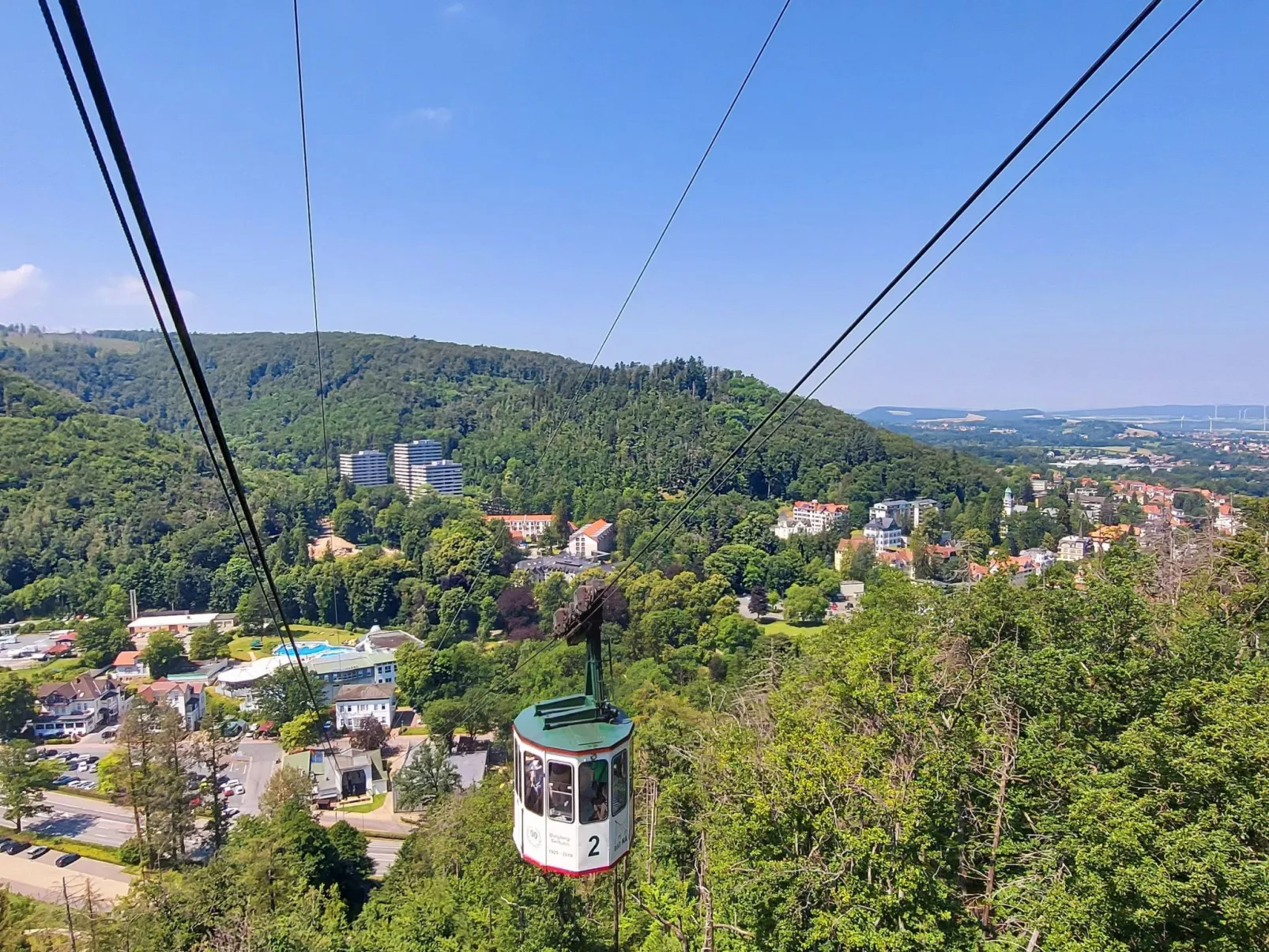 Wanderfalke-Draußen