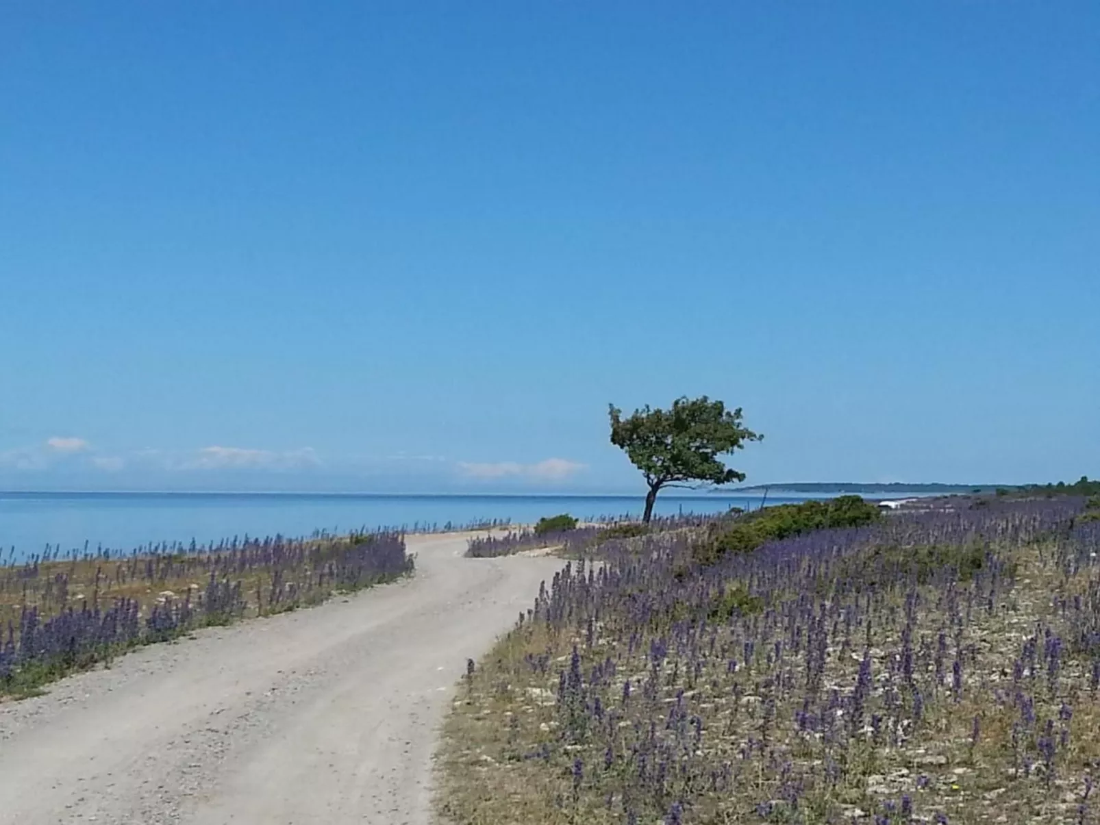 Niedliches Schwedenhaus.-Draußen
