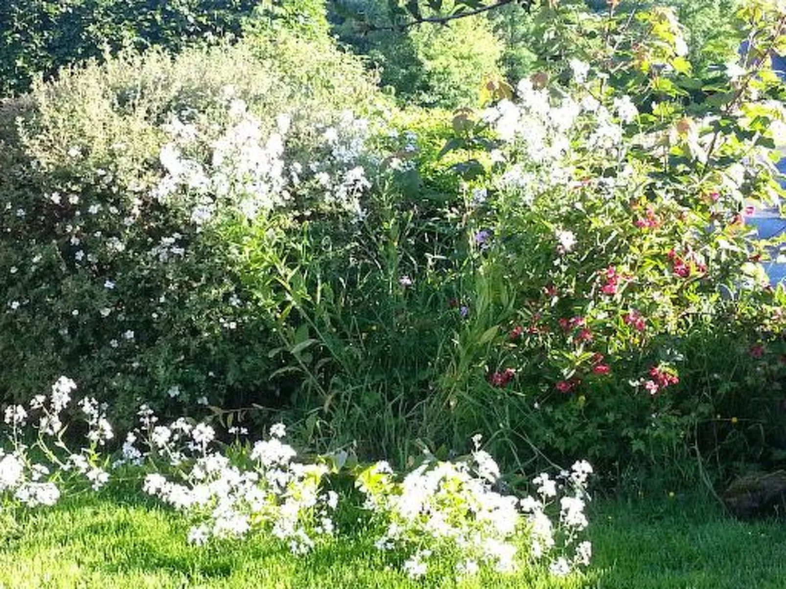Cottage "James Tymon" mit Terrasse und Garten-Dehors