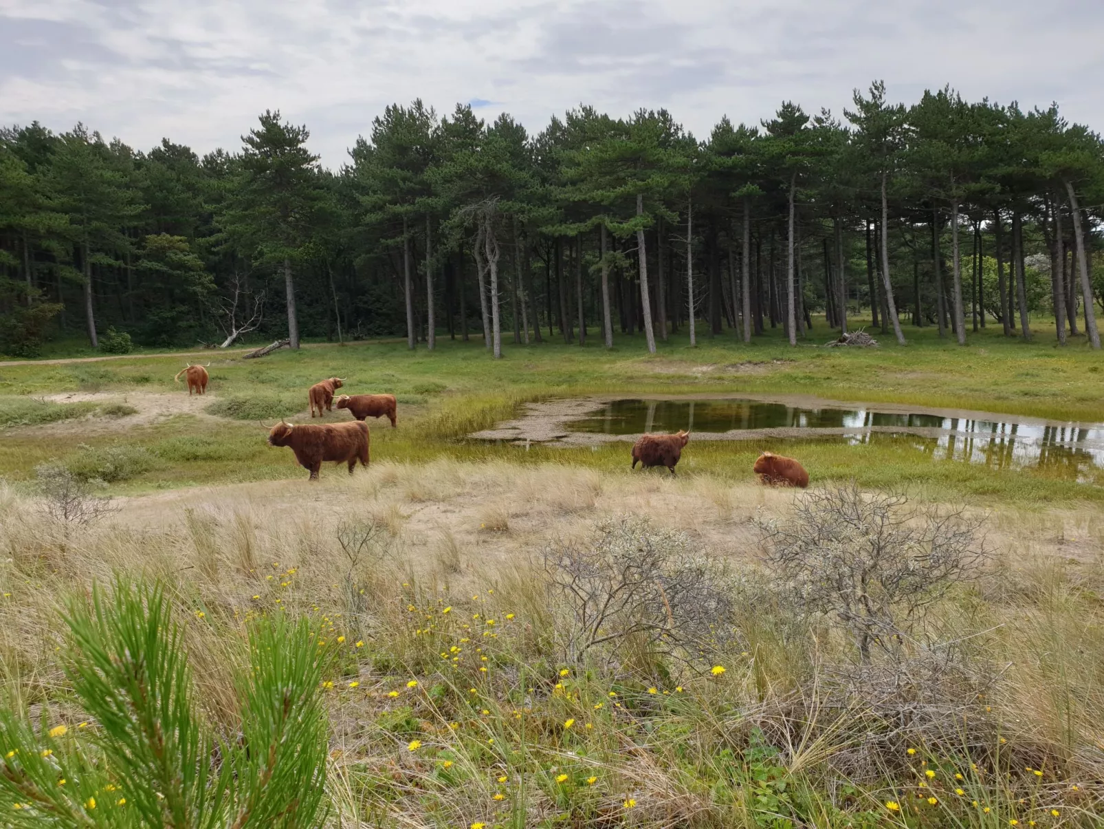 Sommerhaus in ruhiger Lage mit privatem Garten und Terrasse-Outside