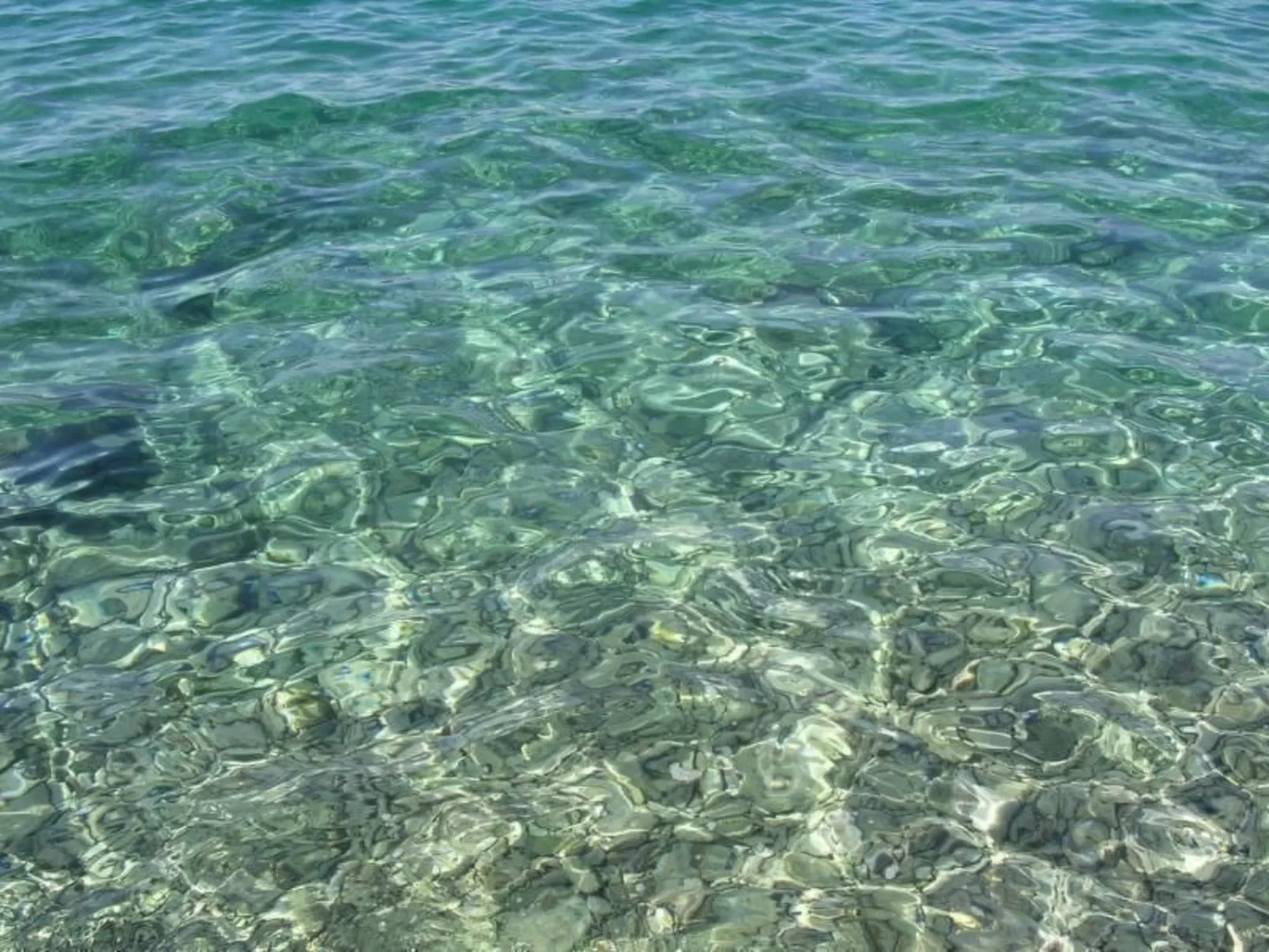 Wohnung mit Grill, Terrasse und Garten-Draußen