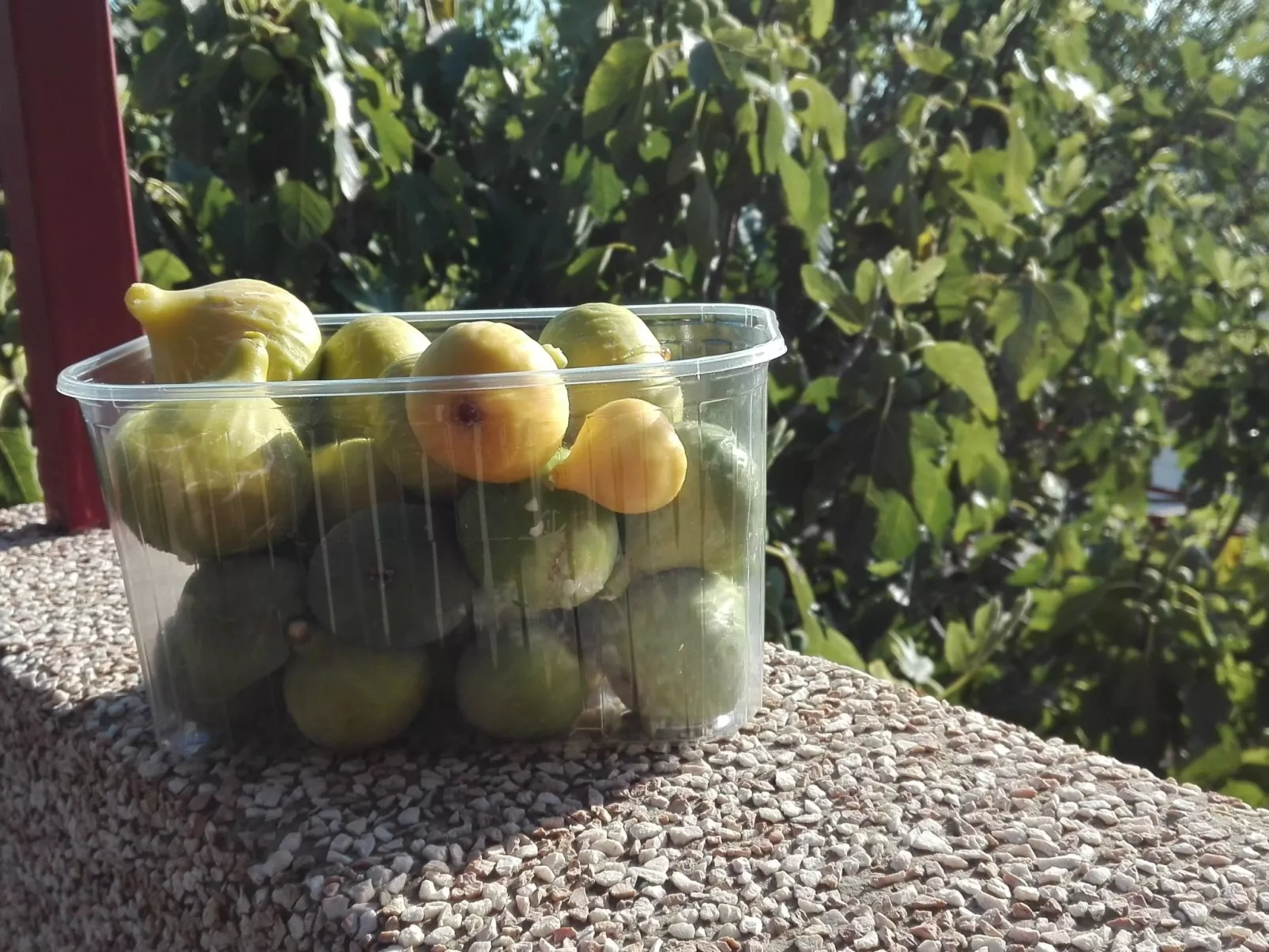 Wohnung mit Balkon und Meerblick-Drinnen