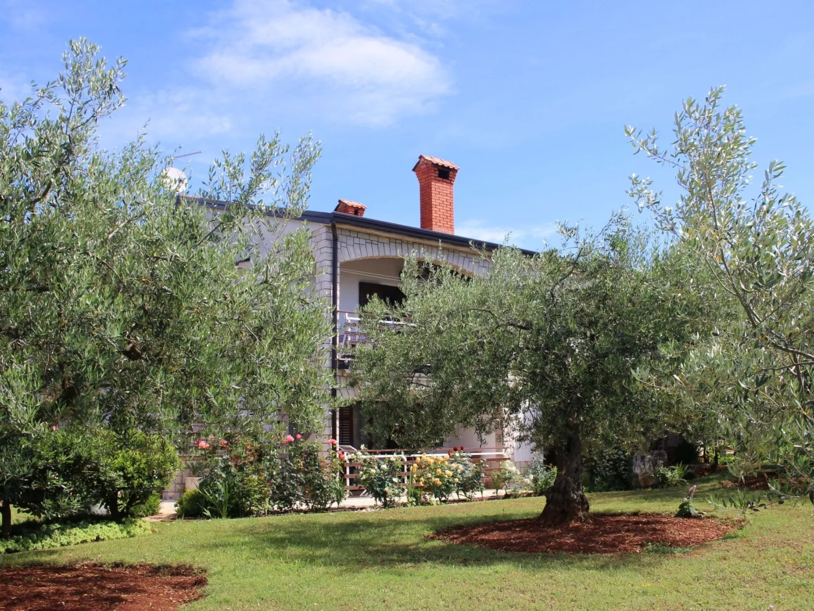 Jakomina 1-Image-tags.info