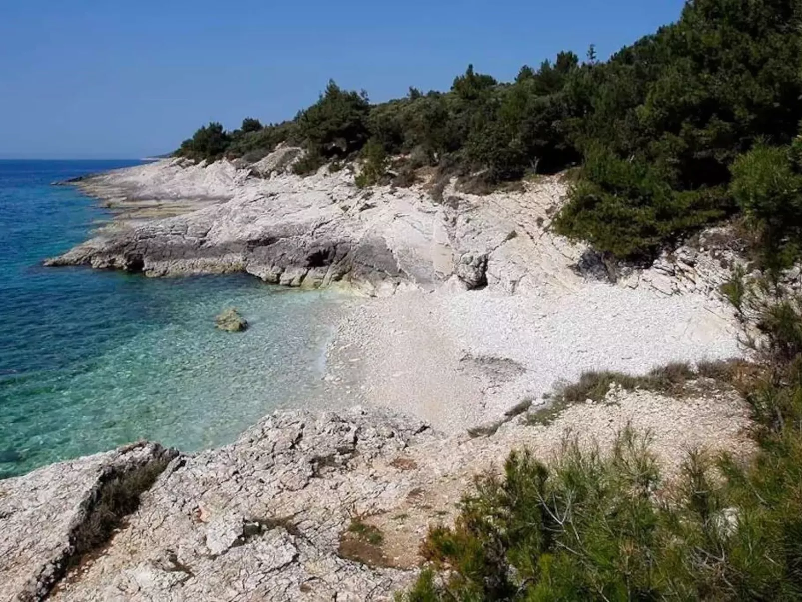 Wohnung mit Garten in der Nähe des Zentrums-Draußen