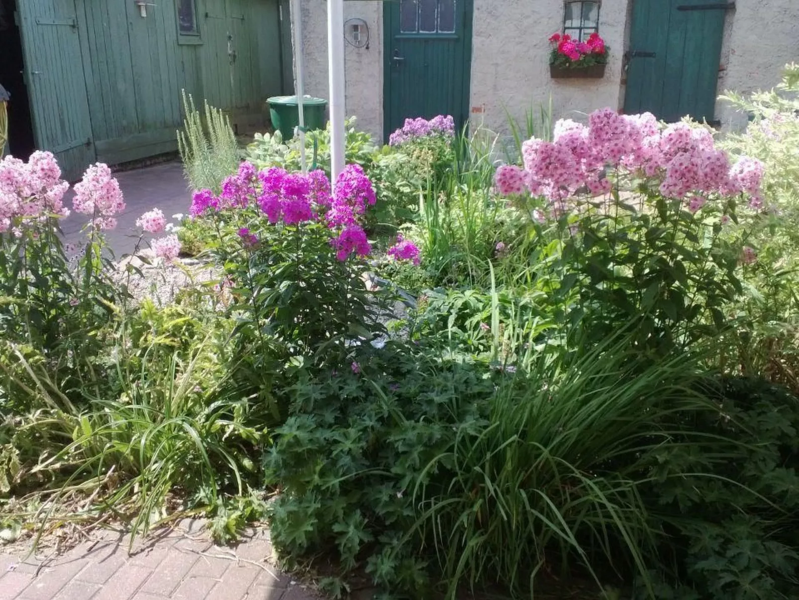 Am Apothekerberg-Draußen