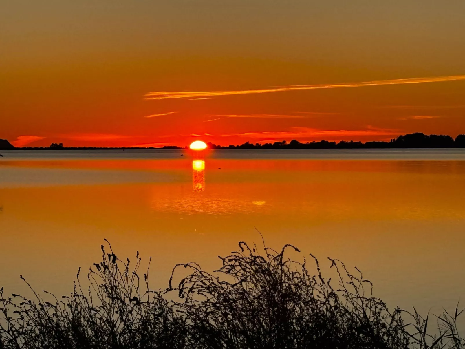 Reethaus Vera am Meer mit Sauna und Kamin-Dehors