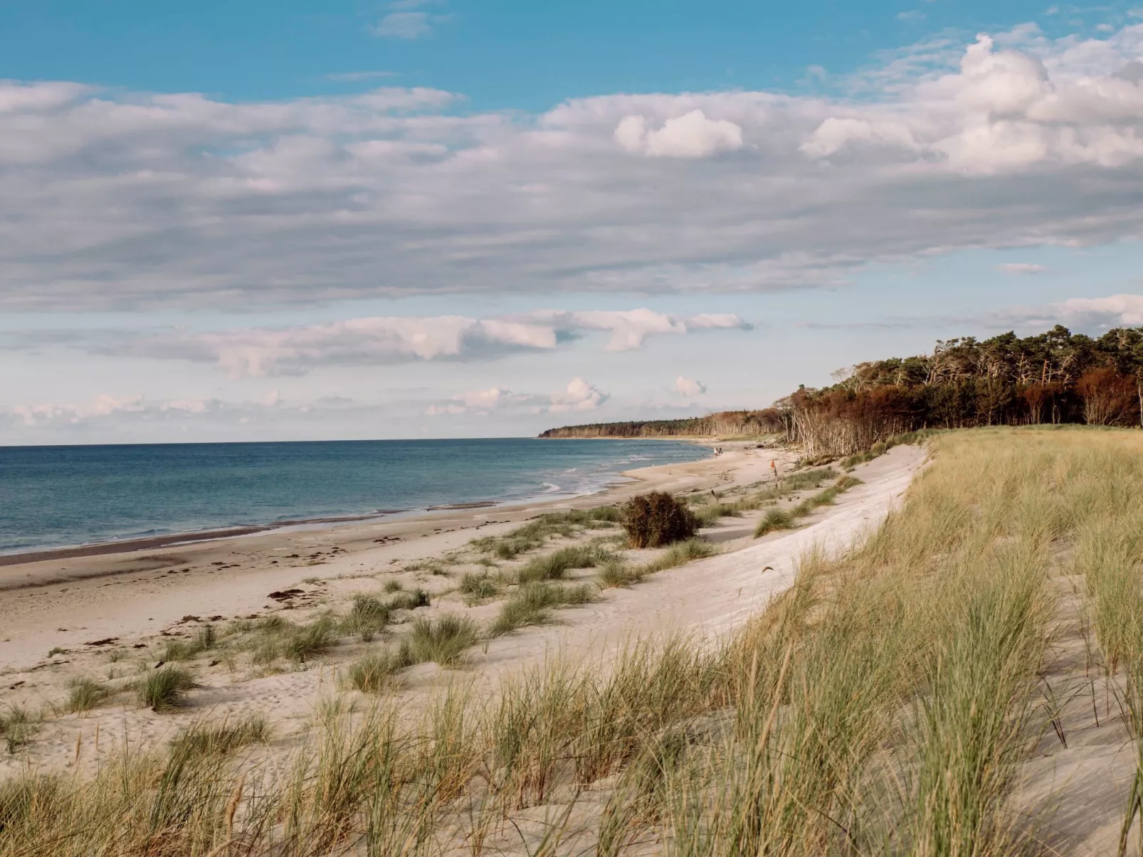 Admiral's Cor. Gulet-Draußen