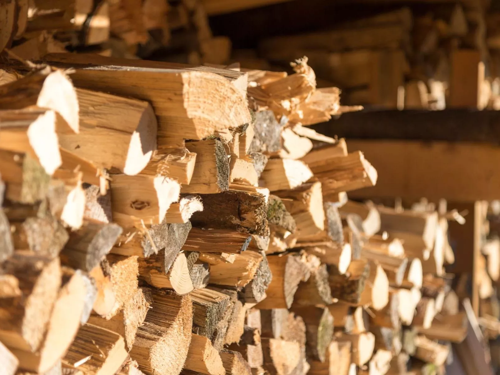 FORSTGUT - Raum für wertvolle Zeit-Dehors