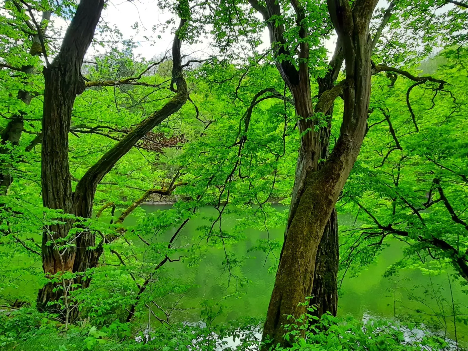 Mit Liebe ausgestattetes Haus im Naturpark-Draußen