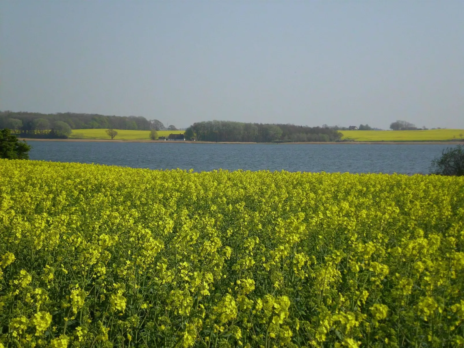 Wohnung in Kappeln mit Terrasse-Dehors