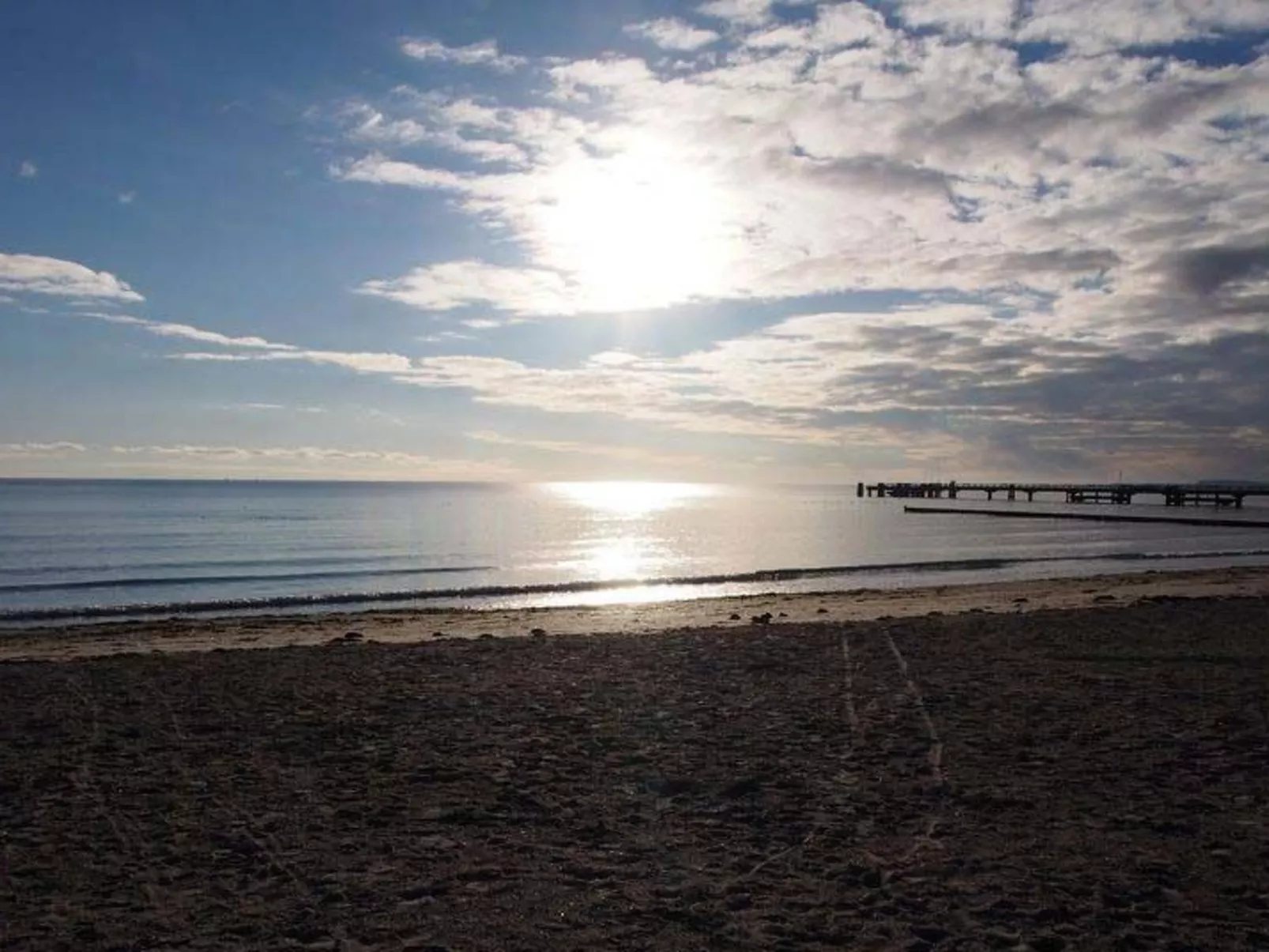 Seestern41-Image-tags.info