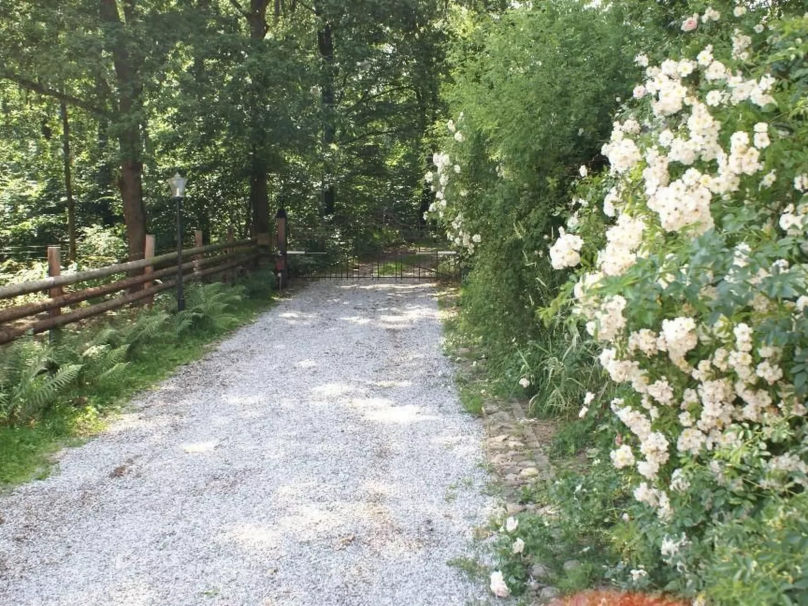 Mit Balkon, Terrasse und Garten-Inside
