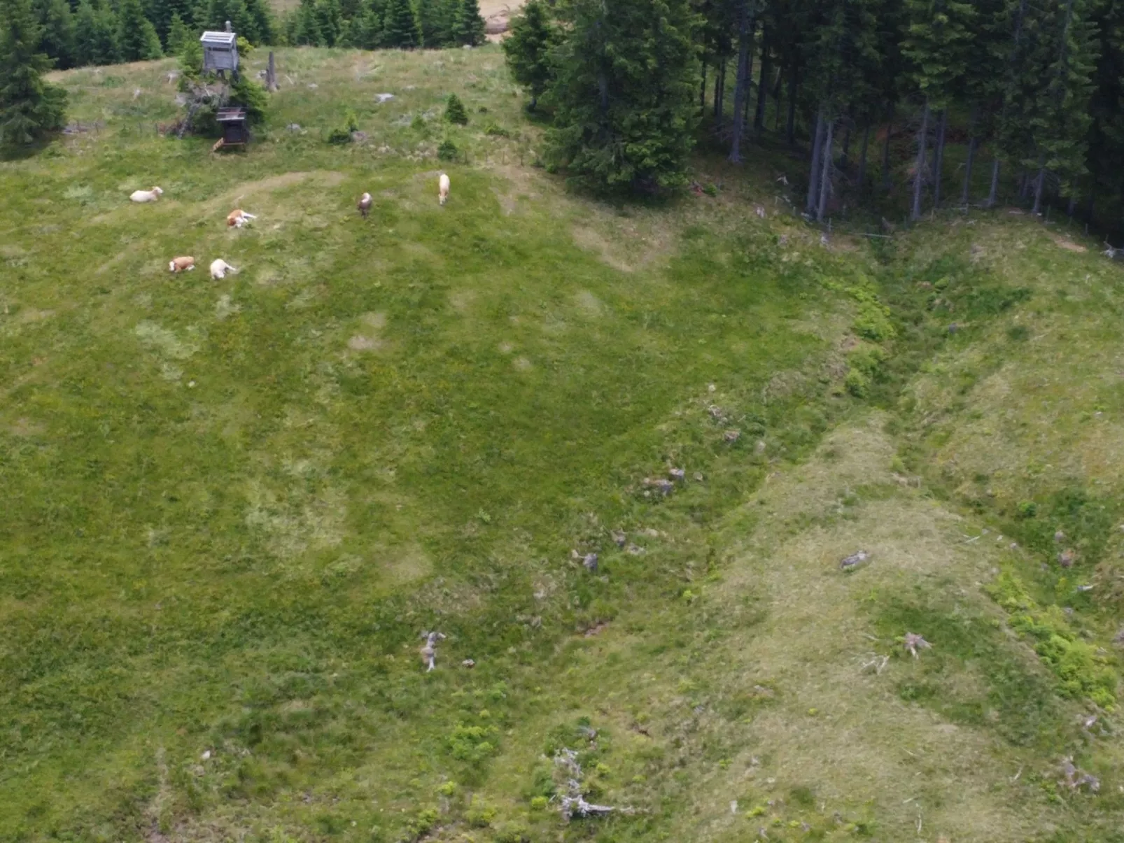 Alpentraum in Klippitztörl-Drinnen