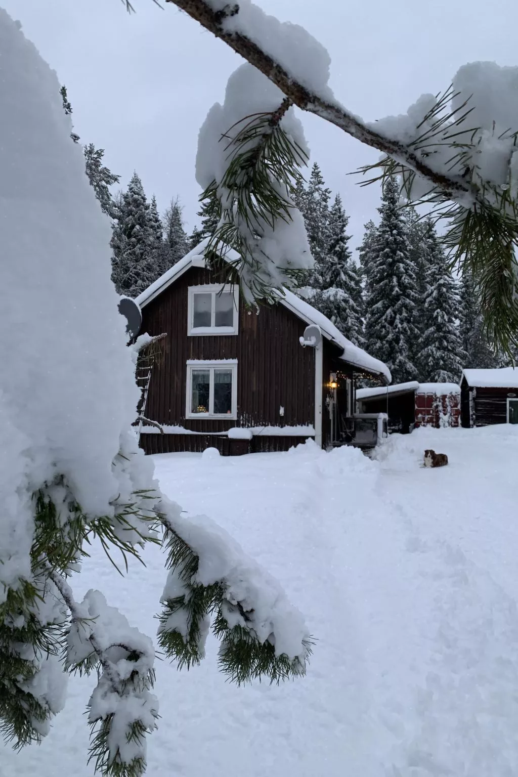 Gemütliches Ferienhaus am Polarkreis-Dehors