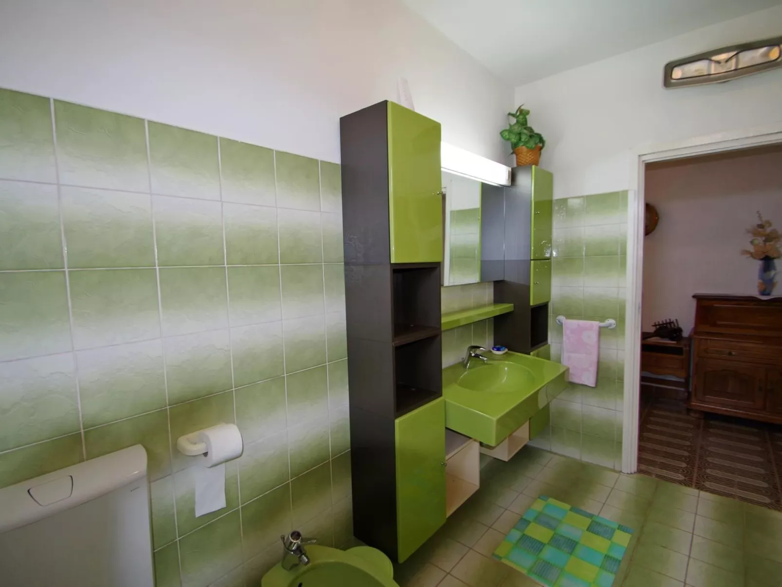 Ruhige Wohnung in dem charmanten Dorf Škitača-Drinnen