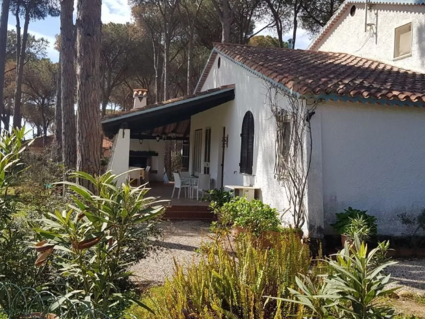 Mare e Pineta-Drinnen