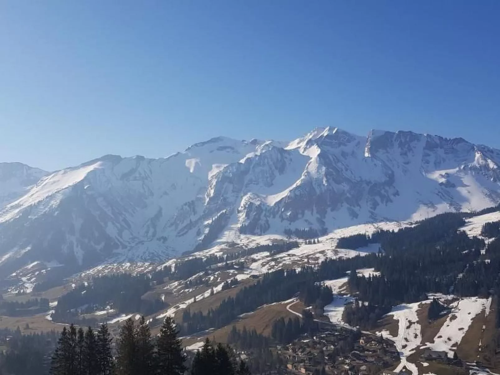 Kolibri Hochparterre-Outside