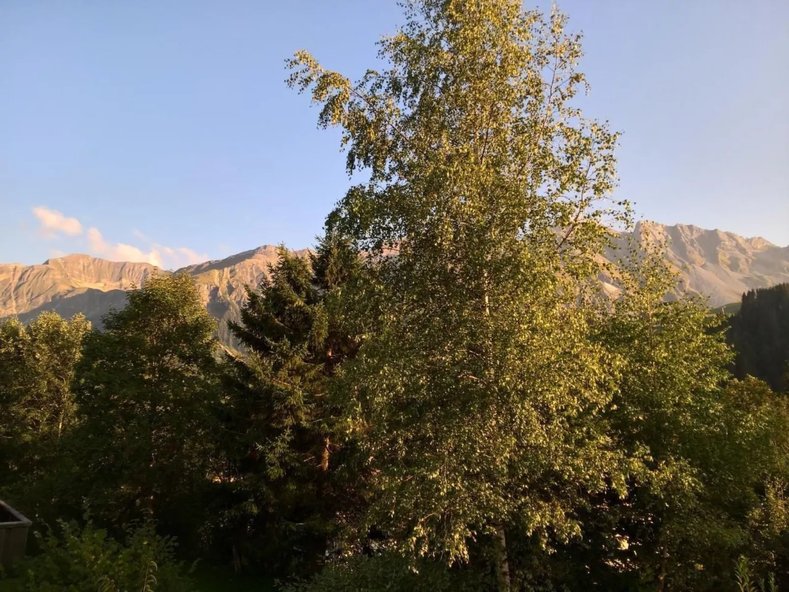 Hasegässli 12-Draußen