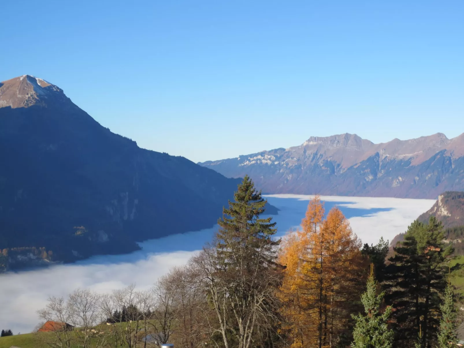 Anneliese Schaad Studio-Outside