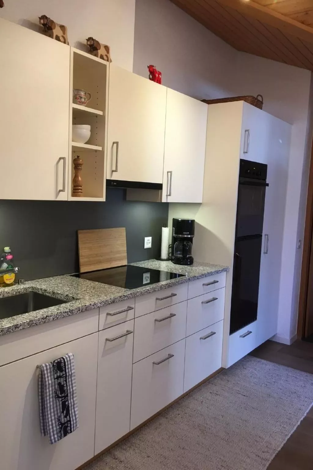 Katharina von Allmen-Dedans