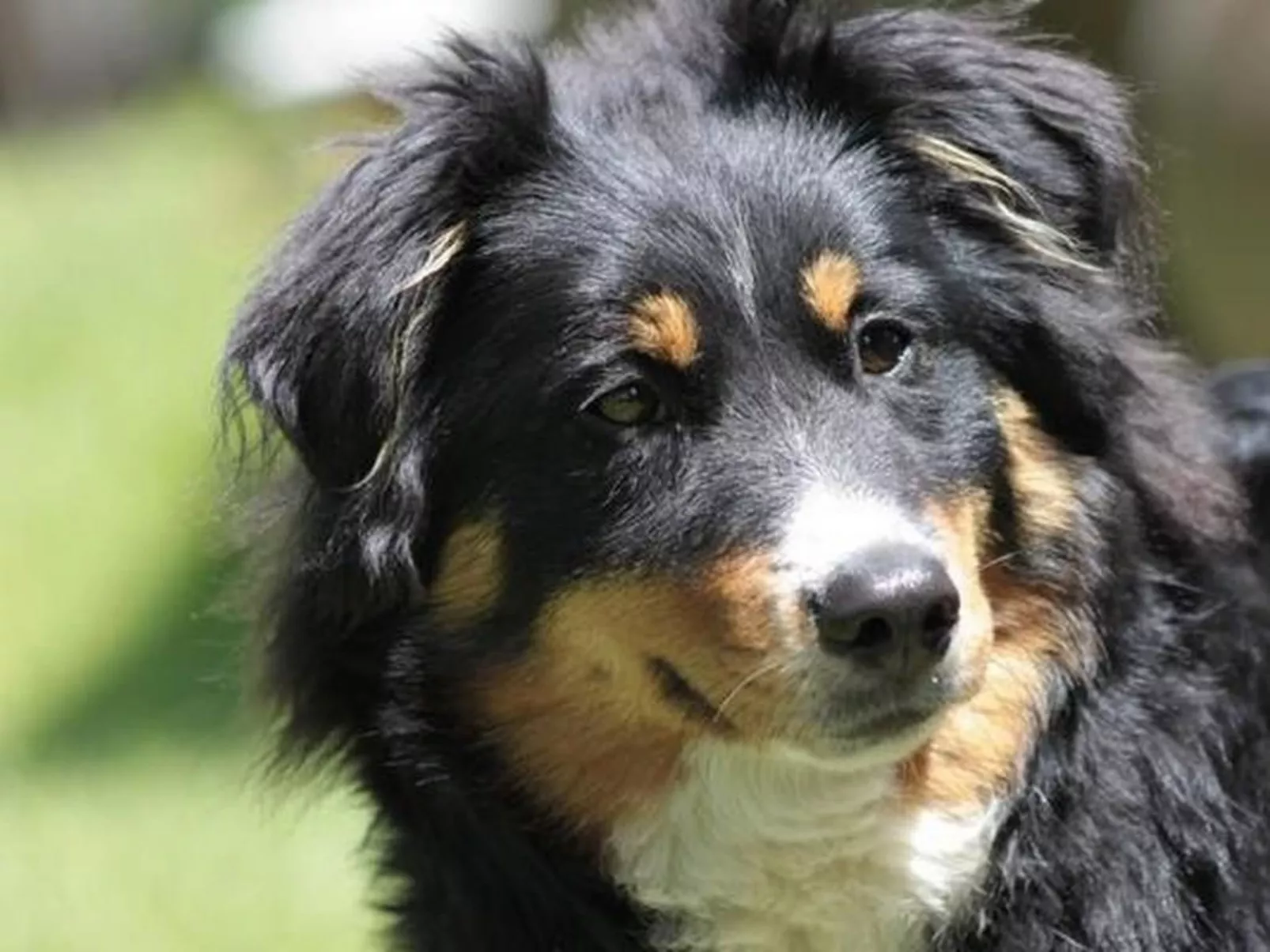 Rosentürmli - Outside