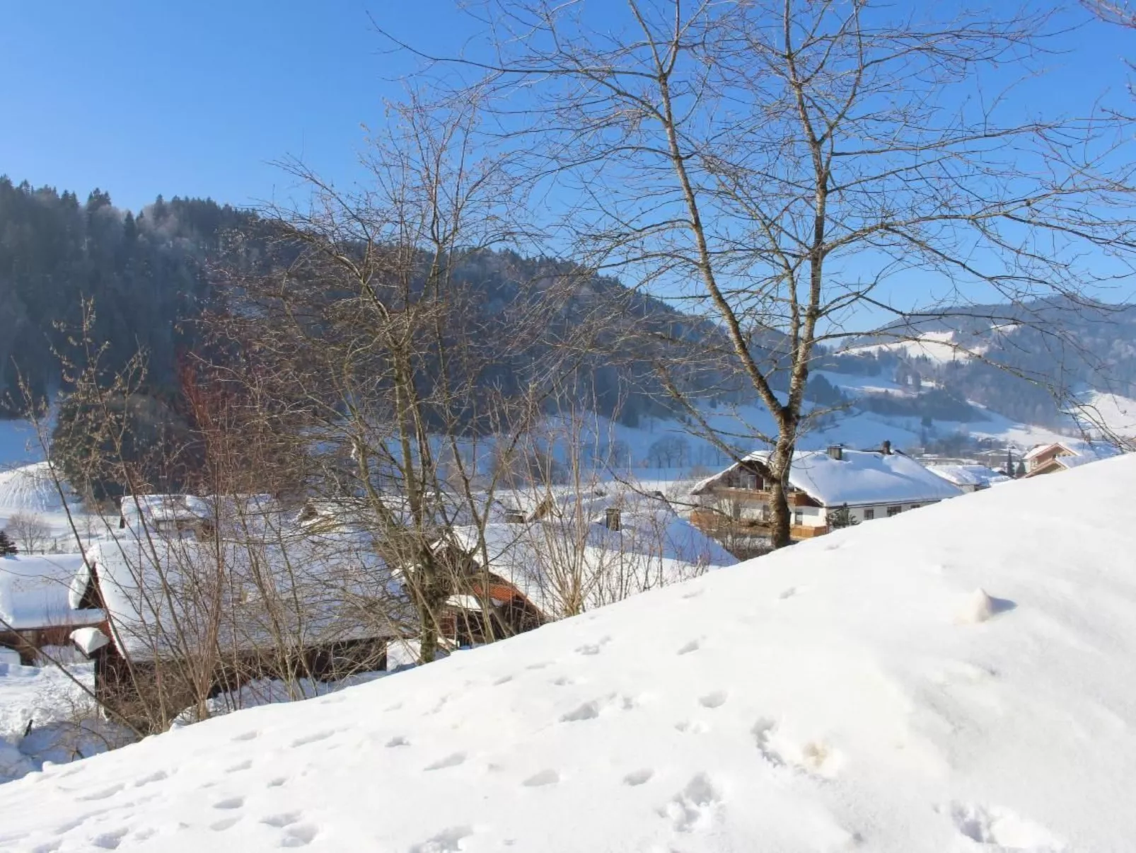 Alpkönig - Draußen