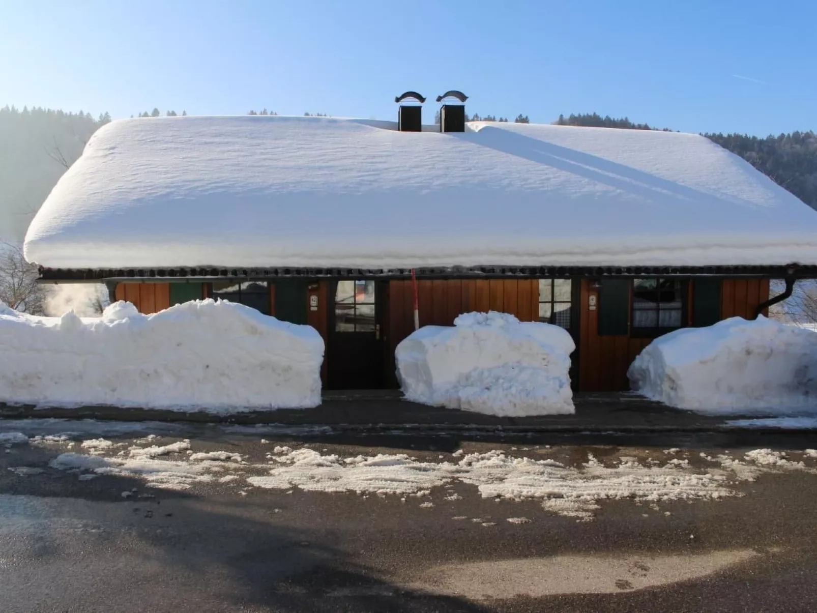 Alpkönigin - Image-tags.info