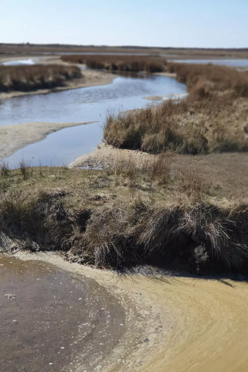 Apartment mit Terrasse am Südstrand-Outside