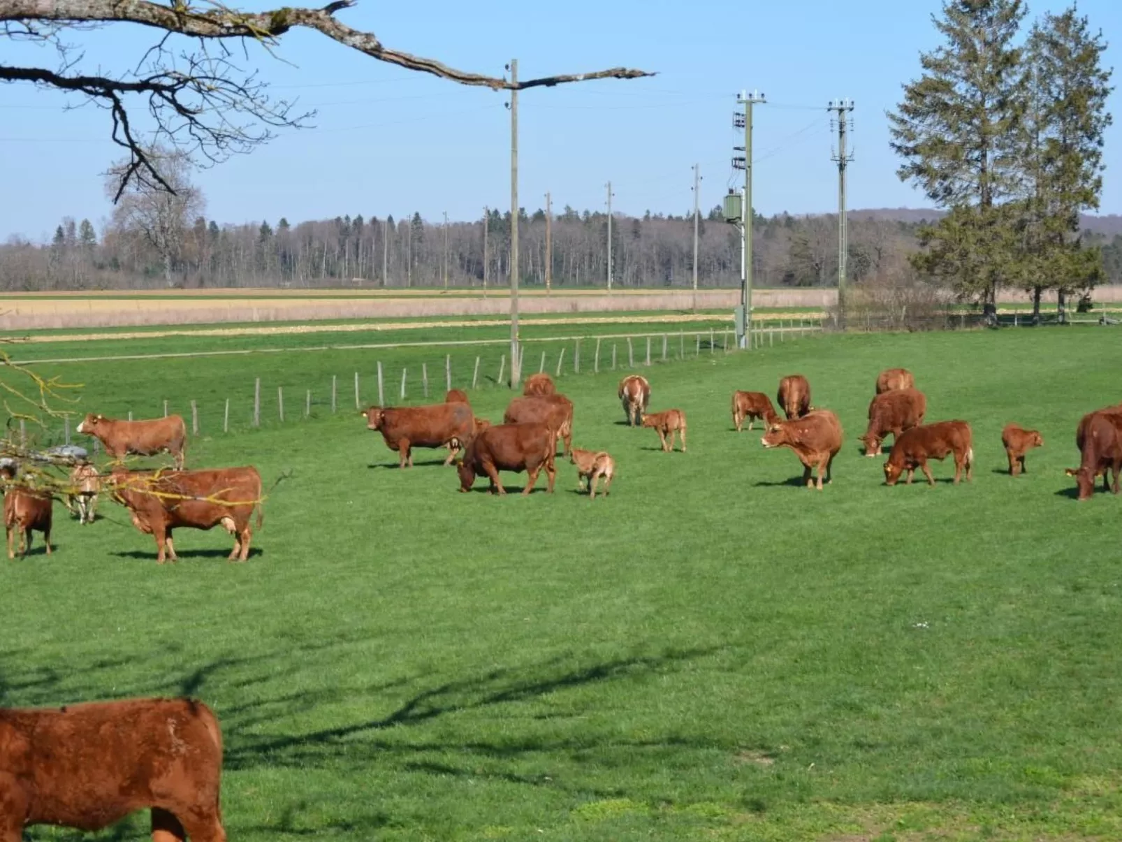 Wohnung "Bellevue"-Outside