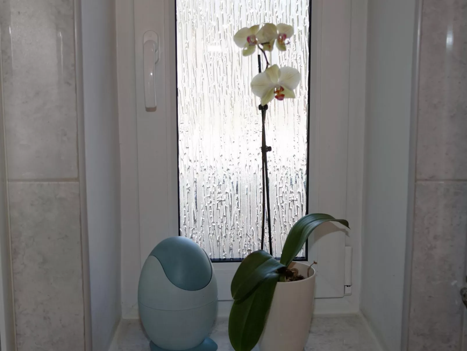 In ruhiger Lage am Waldrand-Inside