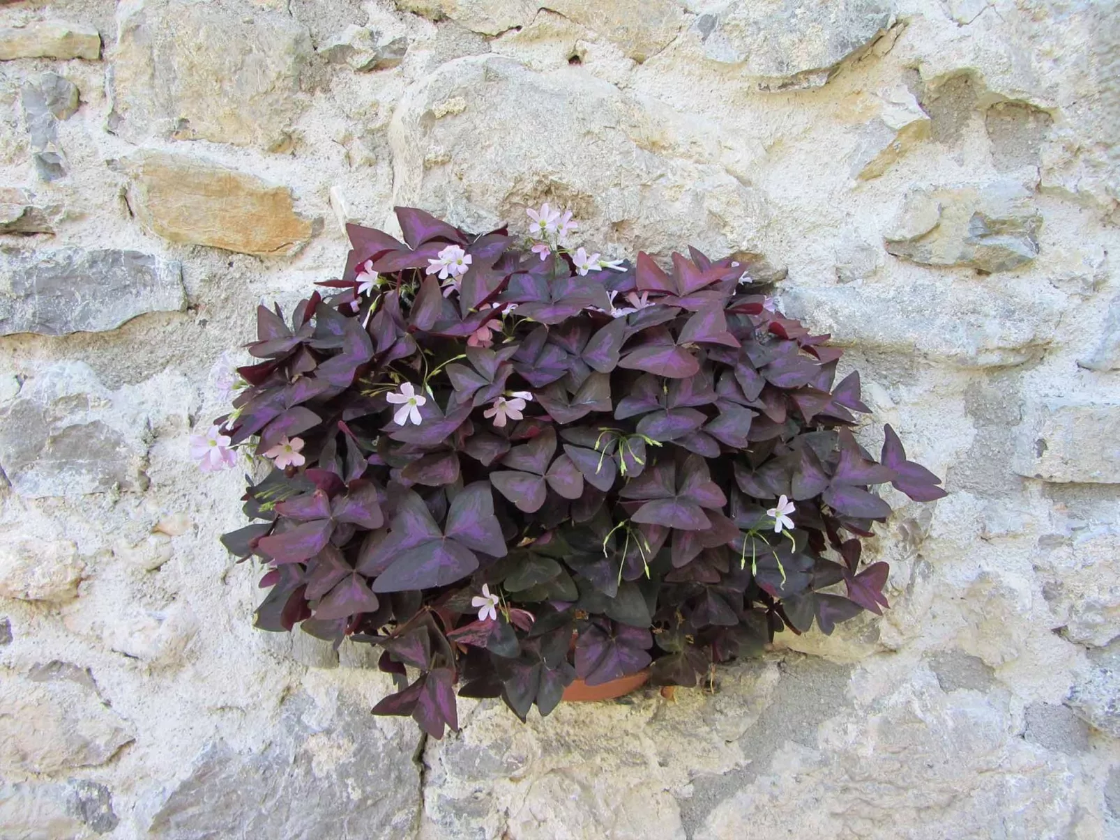 Geräumiges Ferienhaus inmitten der Natur-Image-tags.info